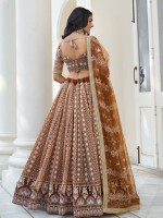 Brown Butterfly Net Lehenga Choli